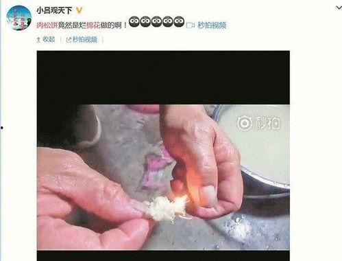 肉松饼爆料视频播放,揭秘网红美食背后的制作过程 第3张 肉松饼爆料视频播放,揭秘网红美食背后的制作过程 第3张