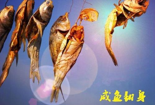 咸鱼最新金鱼爆料,揭秘金鱼界的神秘力量  第2张